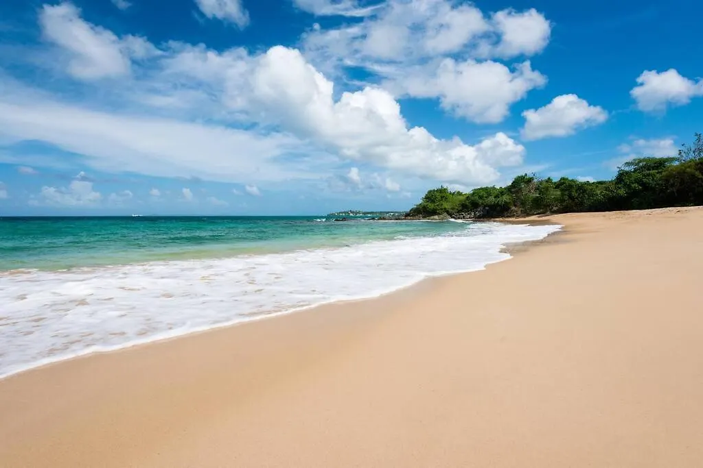 Beautiful Villa! Diiscount Via What Aspp! Pool, Secluded Beach! Check The Number From The Photos! Vieques Porto Riko